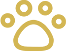 宠物行业