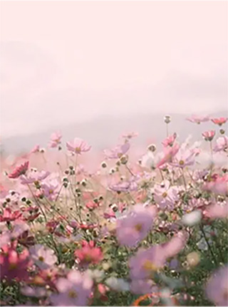 鲜花行业