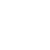 国内AI问答展现(GEO优化)